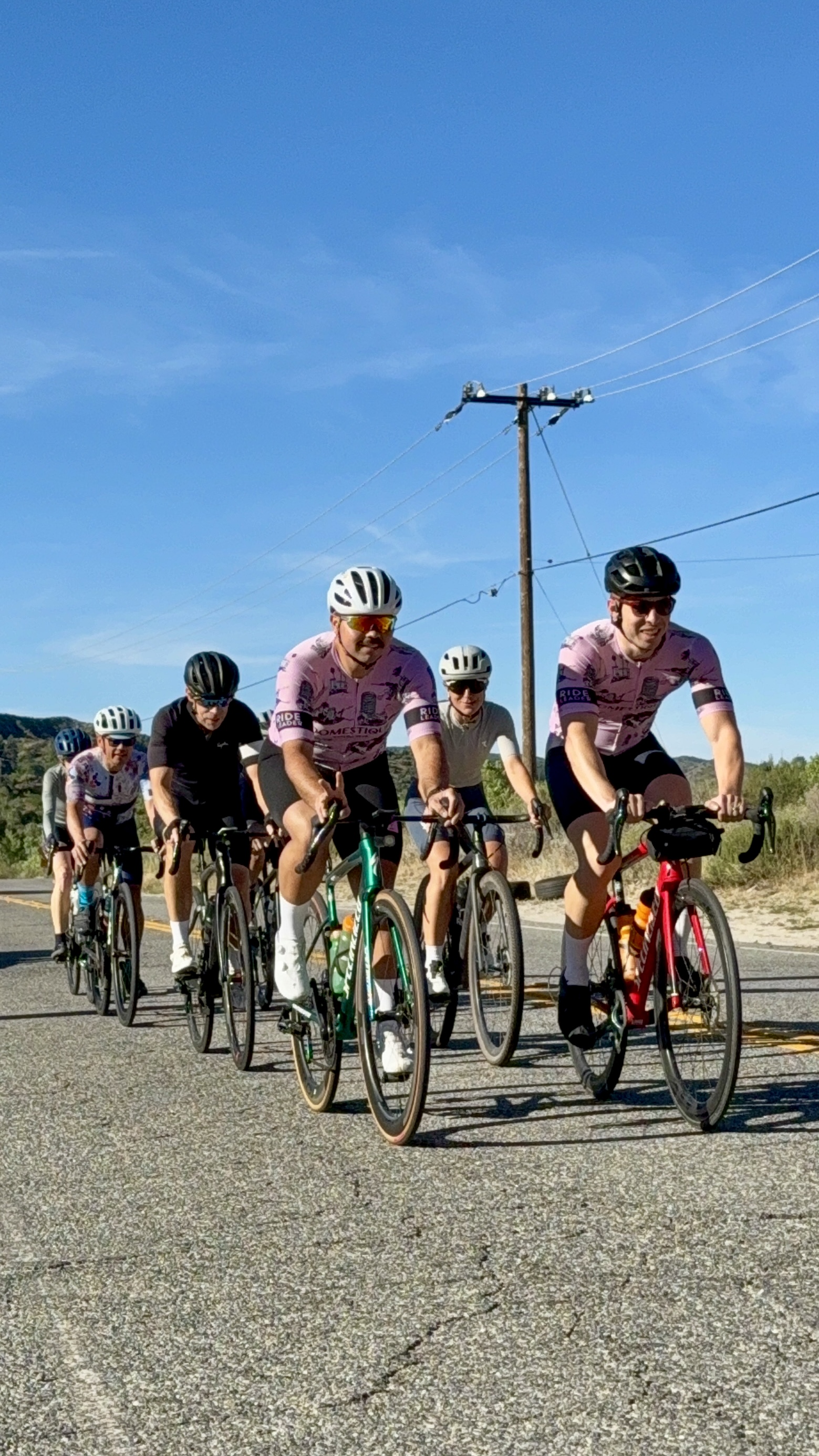A DCC group ride in pink kit riding a paceline up a sunlit canyon road